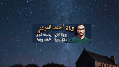 أحمد المرغني