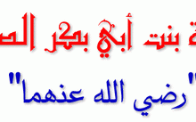 الرد المبين على من يطعن في عائشة أم المؤمنين