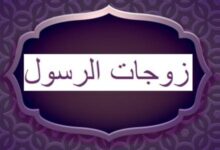 تعدد زوجات الرسول