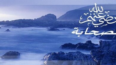 في الدفاع عن الصحابة رضوان الله عليهم 2